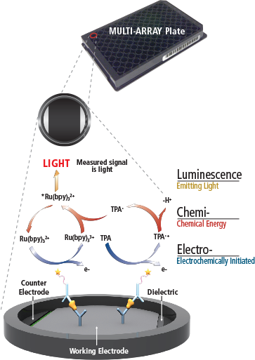 Why Electrochemiluminescence | Meso Scale Discovery