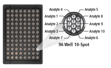 Multi Array Assay Technology Meso Scale Discovery